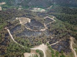 Sakarya'da çıkıp Bilecik’e sıçrayan orman yangını 3’üncü gününde (3)