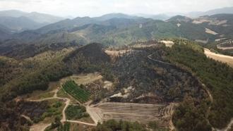 Sakarya'da çıkıp Bilecik’e sıçrayan orman yangını 3’üncü gününde / Ek fotoğraflar