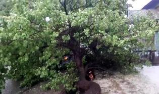 Kağızman'da dolu ve sağanak nedeniyle caddeler göle döndü