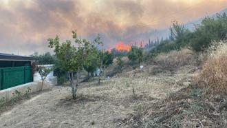 İzmir'deki orman yangını 2'nci gününde (5)