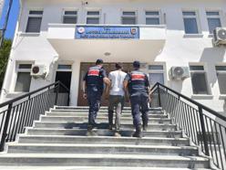 Çanakkale'de orman yangını (2)