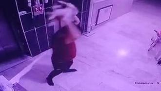 Kediyi yere fırlatan şüpheliye gözaltı