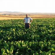 Yozgat'ta silahlı kavga: Muhtar ve oğlu öldü, diğer oğlu yaralandı