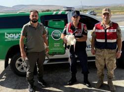 Batman’da jandarmanın yaralı halde bulduğu leylek, tedaviye alındı