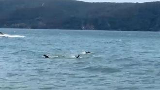 Beykoz'da tekne alabora oldu: 3 kişi kurtarıldı, 1 kişi hayatını kaybetti