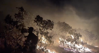 Diyarbakır'da örtü yangını (2)