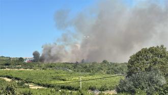 Çanakkale’de orman yangını / Ek fotoğraflar