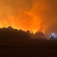 Edirne'de orman yangını/ Ek fotoğraflar