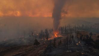 Karaman'da orman yangını (3)