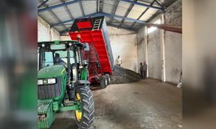 Manyas’ta ayçiçeği hasadı başladı