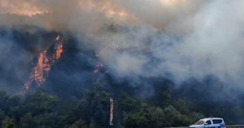 Bolu'da orman yangını
