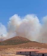 İzmir'de orman yangını