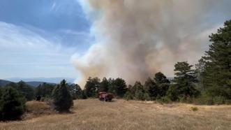 Bursa’da orman yangını