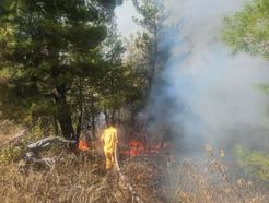 Denizli'de orman yangını, 2 saatte kontrol altına alındı