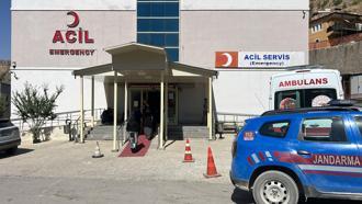 Ceviz toplamak için çıktığı ağaçtan düşüp öldü