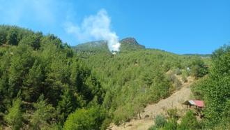 Feke'de orman yangını kontrol altında