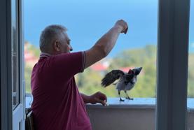 ‘Şakir’ ismini verdiği kargaya çocuğu gibi bakıyor