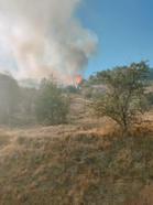 Karabük’te orman yangını