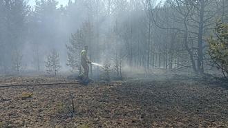Kastamonu'da orman yangınında 10 dönüm alan zarar gördü
