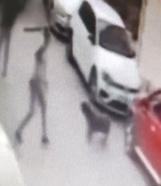 Sokak köpeğine kemerle vuran şüpheli gözaltında