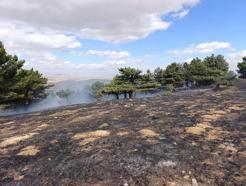 Konya'da orman yangını kontrol altında
