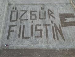 Traktör ile tarlalarına 'Özgür Filistin' yazdılar