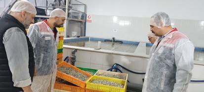 Edirne’de kabuklu su ürünleri işleme tesislerine denetim