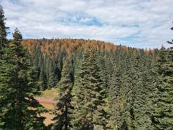 Bartın ve Karabük yaylalarında sonbahar güzelliği