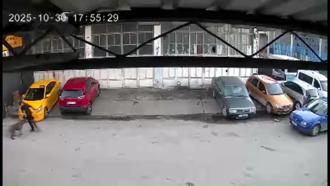 Köpeğin saldırısına uğrayan çocuğu babası kurtardı; o anlar kamerada