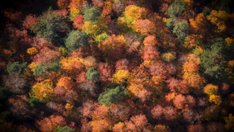 Bolu Mengen'de sonbahar güzelliği