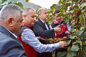 Tescilli Ordu kivisinin hasadı başladı