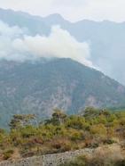 Hatay'da orman yangını