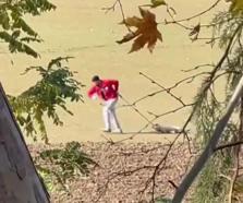 Sokak köpeğini iple sürükleyen belediye personeli adli kontrolle serbest