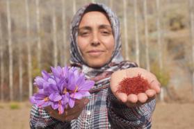 Eşini kaybettiği hastalık sürecinde önerilen, bulamadığı safranın üreticisi oldu