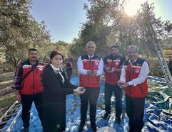 Hatay’da zeytin üreticileri bilgilendirildi