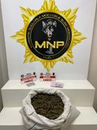 Muğla'da uyuşturucu operasyonunda 4 tutuklama