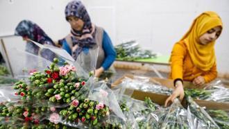 Çiçekte 10 aylık ihracat rekoru