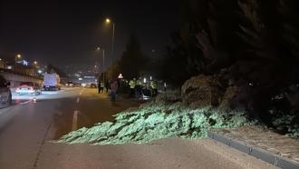 Otomobil aydınlatma direği ve ağaçlara çarptı: 1 yaralı