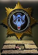 Malatya'da uyuşturucuya 6 gözaltı