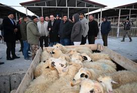 Şap hastalığı kontrolü yapıldı