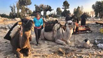 Sarıkeçili Yörüklerin develi 'kış yurdu' yolculuğu sürüyor