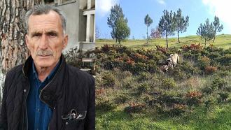 Kangal köpeği ile kurdun boğuştu anlar kamerada