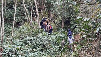 Kestiği ağacın çarpması sonucu yaralandı