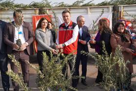 Osmaniye’de çiftçilere 61 bin 106 adet sertifikalı zeytin fidanı dağıtıldı