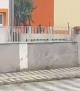 Eski sevgilisiyle konuşmak için geldiği okul önünde intihara kalkıştı