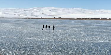 Sıcaklıklar mevsim normali üzerinde; Çıldır Gölü de donmadı / Ek fotoğraflar