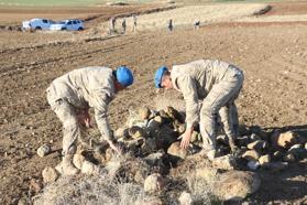 Kesik baş ile suç aleti bıçağın bulunması için her taşın altı kontrol ediliyor