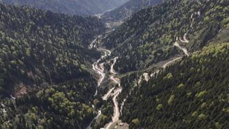 Karadeniz'de yağış değişimi alarmı; orman varlığı gençleştiriliyor