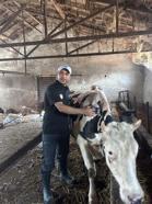 Balıkesir'de 599 bin 74 büyükbaş hayvan şap hastalığına karşı aşılandı