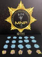 Malatya'da uyuşturucu ve tarihi eser operasyonuna 8 gözaltı